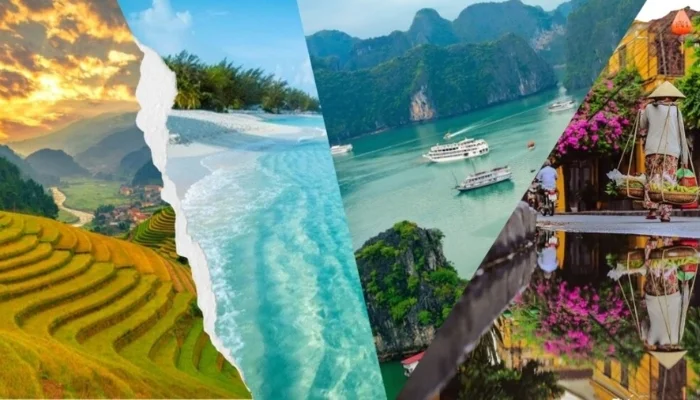 Có 5 loại hình tour du lịch trong nước chính
